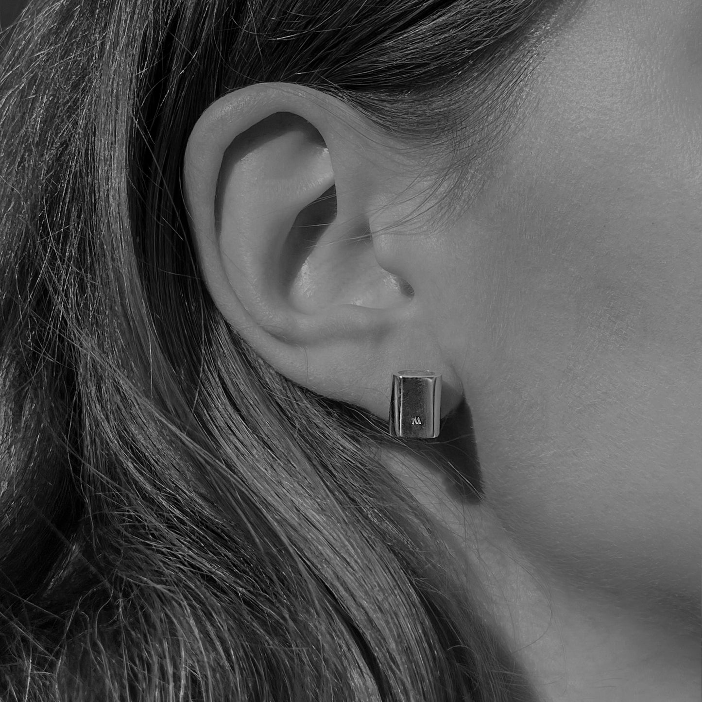 Sterling silver stud earrings E3/SiE170