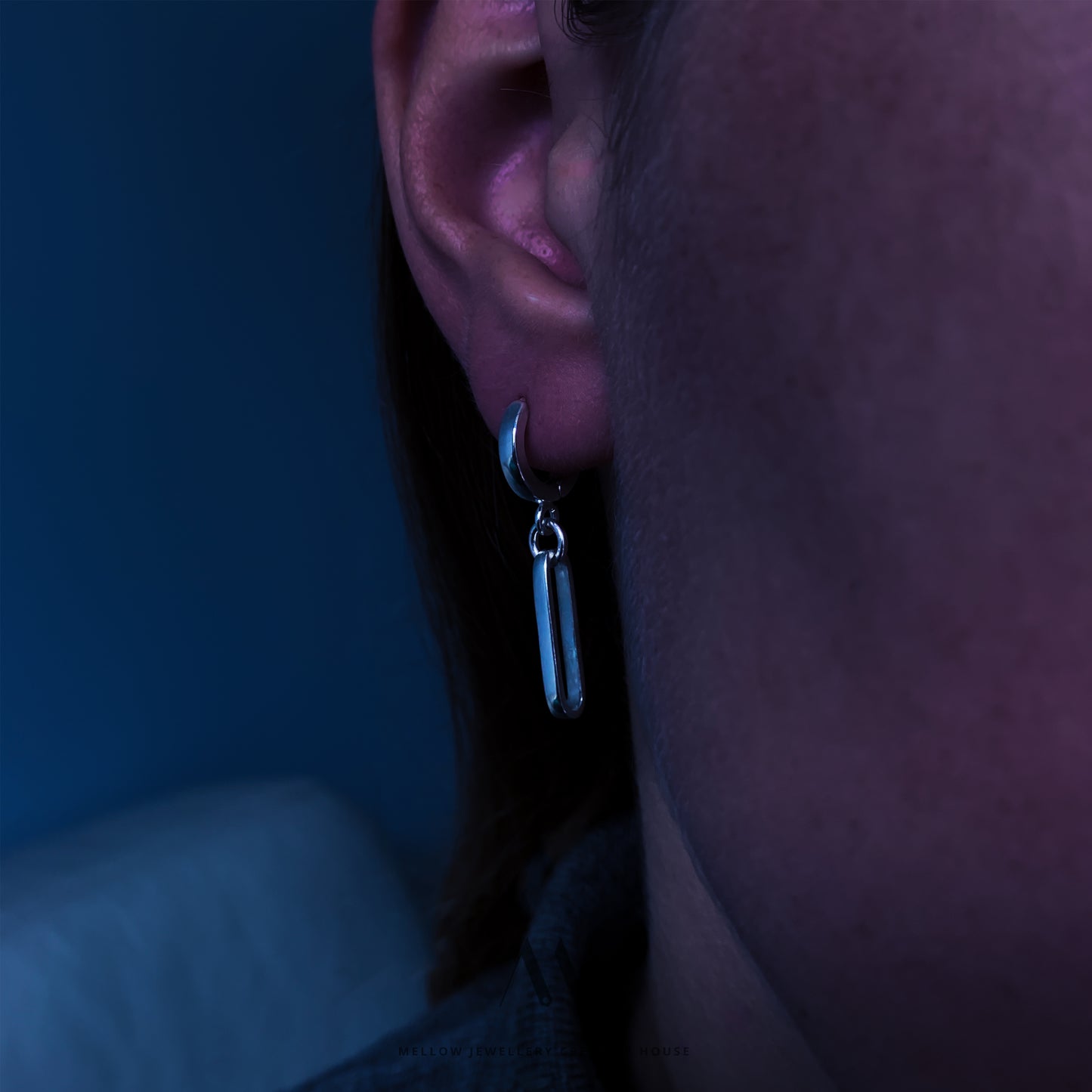 Sterling silver Earrings E3/SiE98